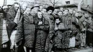 اليهود في أوشفيتس- بيركيناو عند تحريرهم يناير 1945 (ويكيميديا عام)