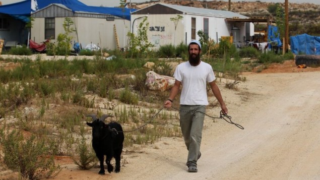 مستوطن اسرائيلي في تسوفيم بجانب القرية الفلسطينية قلقيلية بالضفة الغربية (بعدسة ناتي شوحاط/ فلاش 90)