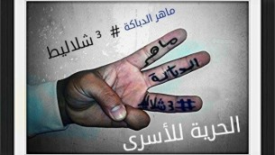 حملة ثلاثــ-شلاليط (من الفيسبوك)