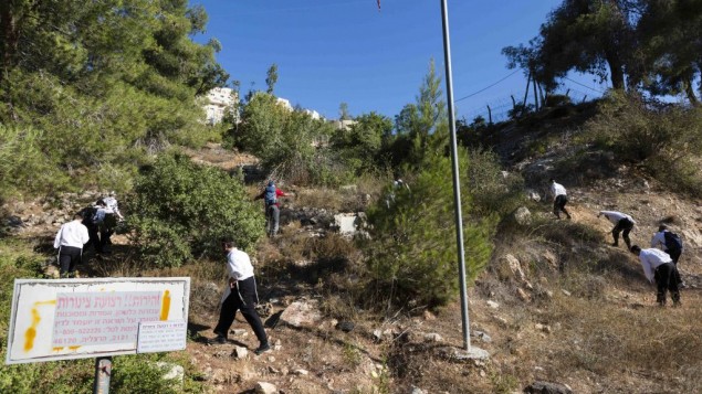 متطوعون يبحثون عن ارون سوفير في منطقة القدس، الثلاثاء 26 اغسطس 2014 (فلاش 90) متطوعون يبحثون عن ارون سوفير في منطقة القدس، الثلاثاء 26 اغسطس 2014 (فلاش 90)