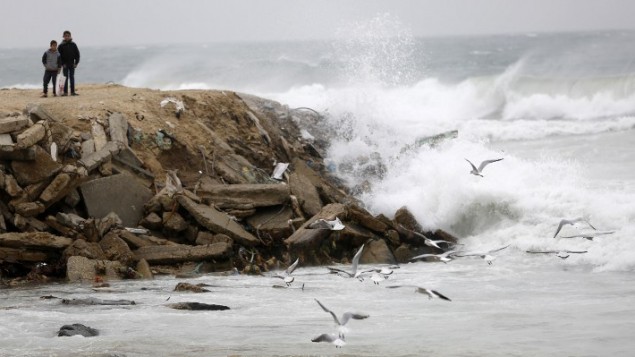 النوارس تطير خلال عاصفة الشتاء في مخيم اللاجئين الشاطئ في مدينة غزة يوم 6 يناير، 2014. AFP PHOTO / MOHAMMED ABED