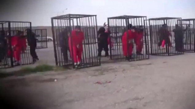 اسرى اكراد يرتدون زيا برتقالي اللون يدخلون داخل اقفاص قبل عرضهم في السوق الرئيسية لمنطقة الحويجة (YouTube screen capture)