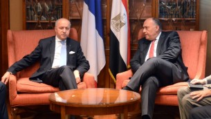 وزير الخارجية الفرنسي لوران فابيوس مع نظيره المصري سامح شكري في القاهرة،  20 يونيو 2015 (MOHAMED EL-SHAHED / AFP)