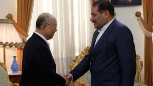 يوكيا امانو المدير العام للوكالة الدولية للطاقة الذرية مع رئيس جهاز الأمن القومي الإيراني علي شمخاني في طهران، 2 يوليو 2015 (ATTA KENARE / AFP)
