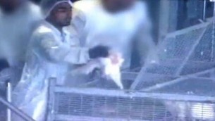 صور إلتقطتها كاميرا خفية في مصنع زوغلوفيك في شلومي، شمال إسرائيل (أخبار القناة 10)