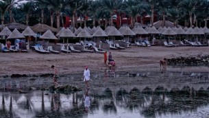 سياح يسيرون على الشاطئ في مدينة شرم الشيخ السياحية المصرية، 2 نوفمبر، 2015. (AFP PHOTO / STR)
