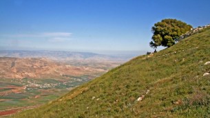 الجبل الكبير ووادي تيرتسا شمال الضفة الغربية. (Tamar Hayardeni/Wikimedia Commons)