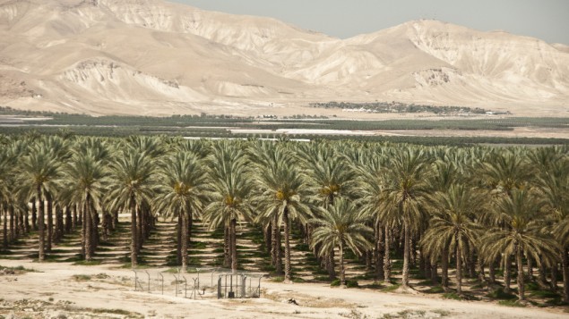غور الاردن (CC BY Trocaire, Flickr)
