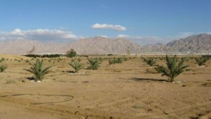 صورة توضيحية: وادي عربة (Illustrative: The Arava desert. (Batya Ben Zvi/public domain/via Wikipedia))