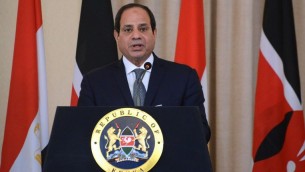 الرئيس المصري عبد الفتاح السيسي خلال مؤتمر صحفي في نيروبي، 18 فبراير 2017 (AFP/SIMON MAINA)