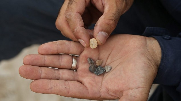 مجموعة من  الختم. (Clara Amit, Antiquities Authority)
