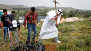 مسؤولين فلسطينيين مع ناشطي سلام اسرائيليين ودوليين يزرعون الاشجار في الضفة الغربية اتجاجا على سيطرة مستوطنين على اراضي، 9 ابريل 20116 (Wisam Hashlamoun/Flash90)