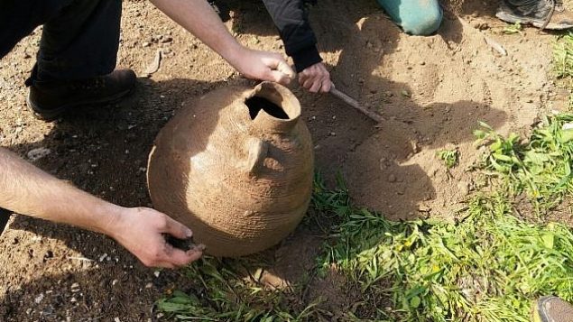 جرة من الحقبة البيزنطية تم العثور عليها خلال نزهة قامت بها عائلتان في متنزه بيسان. (Shmuelik Armon)