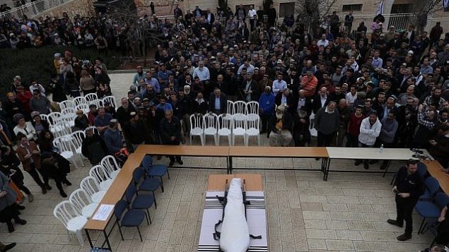 تشييع جثمان الحاخام ايتمار بن غال، ضحية هجوم طعن فلسطيني، في مستوطنة هار براخا في الضفة الغربية، 6 فبراير 2018 (Yonatan Sindel/Flash90)