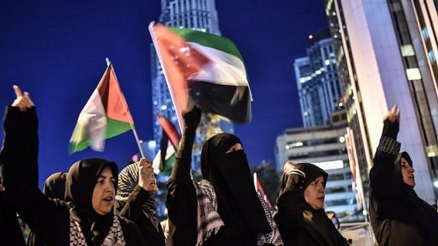 متظاهرون يلوح بالأعلام الفلسطينية من أمام القنصلية الإسرائيلية في إسطنبول، 15 مايو، 2018.  (OZAN KOSE/AFP)