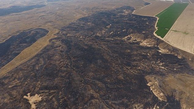 صور هوائية للدمار الهائل الناتج عن الطائرات الورقية المشتعلة الصادرة من غزة في محمية بئيري الطبيعية بالقرب من غزة (DRONEIMAGEBANK)
