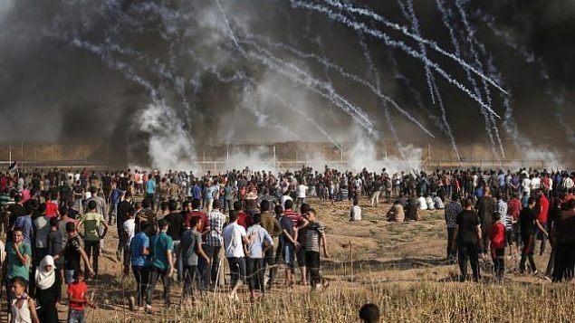 صورة تم التقاطها في 17 أغسطس، 2018 تظهر عبوات غاز مسيل للدموع أطلقتها القوات الإسرائيلية باتجاه متظاهرين فلسطينيين خلال تظاهرة عند حدود قطاع غزة، شرقي مدينة غزة. (AFP PHOTO / MAHMUD HAMS) صورة تم التقاطها في 17 أغسطس، 2018 تظهر عبوات غاز مسيل للدموع أطلقتها القوات الإسرائيلية باتجاه متظاهرين فلسطينيين خلال تظاهرة عند حدود قطاع غزة، شرقي مدينة غزة. (AFP PHOTO / MAHMUD HAMS)