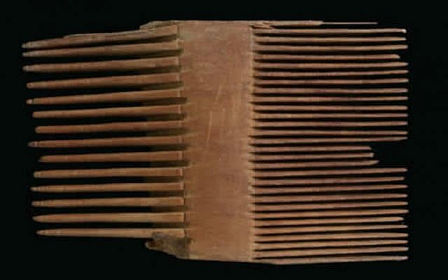 مشط القمل من متسادا، الفترة الرومانية.(Clara Amit/Israel Antiquities Authority)