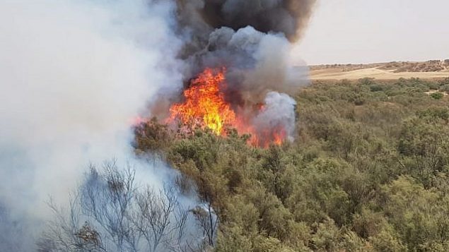 حريق أحراش بالقرب من كيبوتس رعيم شرقي حدود غزة، 25 يوليو، 2018.  (Courtesy Fire and Rescue Services Southern District)