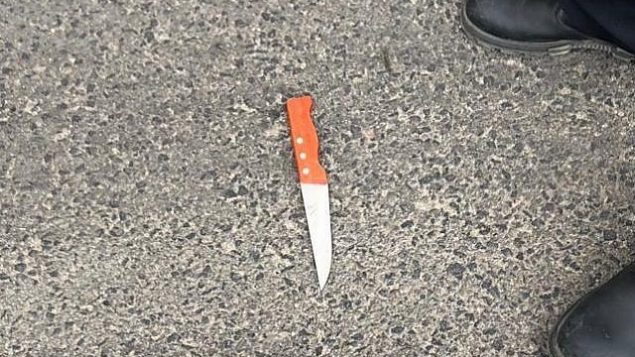سكين استخدمه رجل فلسطيني في محاولة هجوم طعن بالقرب من مدينة الخليل في الضفة الغربية، 5 نوفمبر، 2018. (IDF spokesperson)
