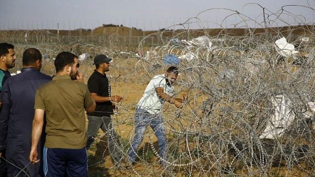 متظاهر فلسطيني يقطع مقطع من السياج الشائك على الحدود مع إسرائيل، شرقي جباليا في وسط قطاع غزة، 1 يونيو، 2018.  (AFP PHOTO / Mohammed ABED)