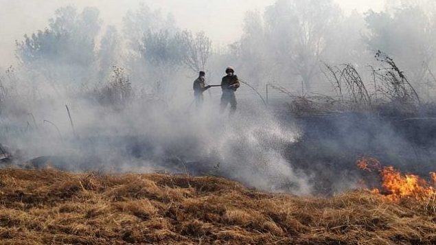 رجال اطفاء يحاولون اخماد حريق في جنوب اسرائيل بالقرب من حدود غزة نتج عن بالون حارق اطلق من القطاع، 24 يونيو 2019 (Yankele Grossfeld/Sha'ar Hanegev Regional Council) رجال اطفاء يحاولون اخماد حريق في جنوب اسرائيل بالقرب من حدود غزة نتج عن بالون حارق اطلق من القطاع، 24 يونيو 2019 (Yankele Grossfeld/Sha'ar Hanegev Regional Council)