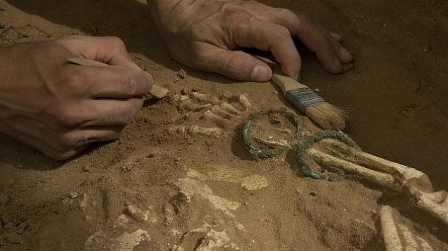 عمليات تنقيب أثرية في مقبرة فلستينية في أشكلون. 
 (Melissa Aja/Courtesy Leon Levy Expedition to Ashkelon)