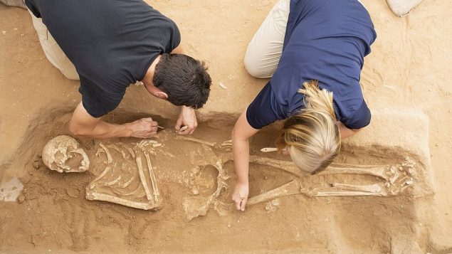 عمليات تنقيب أثرية في مقبرة فلستينية في أشكلون. 
 (Melissa Aja/Courtesy Leon Levy Expedition to Ashkelon)