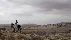 صبي فلسطيني يمتطي حمارا بالقرب من معبر المستوطنات E1، مع مستوطنة معاليه أدوميم في الخلفية. (AP/Sebastian Scheiner) صبي فلسطيني يمتطي حمارا بالقرب من معبر المستوطنات E1، مع مستوطنة معاليه أدوميم في الخلفية. (AP/Sebastian Scheiner)