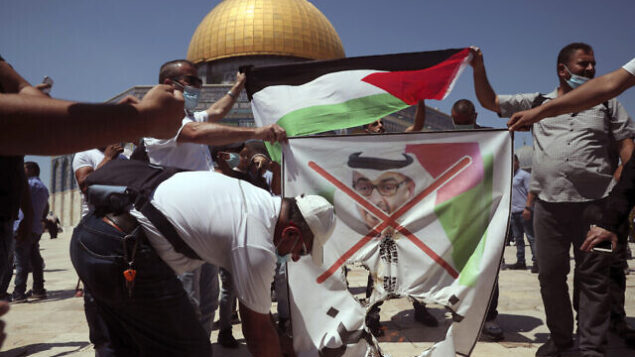متظاهرون فلسطينيون يحرقون صورة لولي عهد أبو ظبي محمد بن زايد آل نيهان بالقرب من قبة الصخرة في الحرم القدسي بالبلدة القديمة، 14 أغسطس، 2020.(AP Photo/Mahmoud Illean)