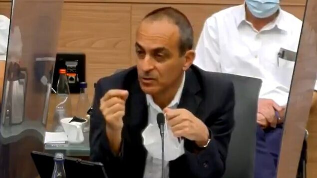 البروفيسور روني غامزو يلقي كلمة أمام لجنة الدستور في الكنيست، 6 سبتمبر 2020 (Screen grab)
