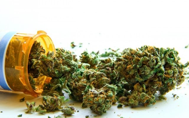 Australians and Israelis were among the experts attending an important forum last week in Sydney about medical cannabis regulation.