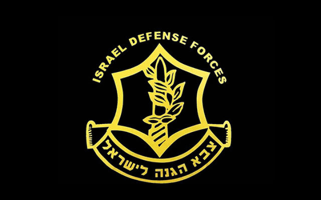 The Light for Peace campaign this Chanukah will raise funds for the IDF.