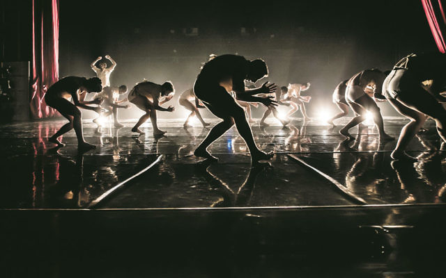 The Kibbutz Contemporary Dance Company’s latest work, Horses in the Sky. Photo: Eyal Hirsch