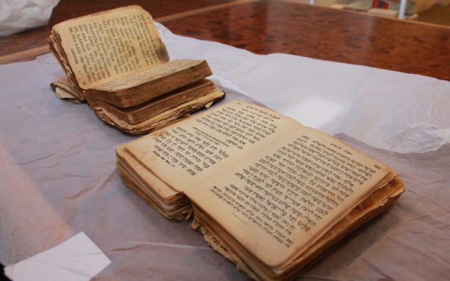 Siddurs that belonged to Auschwitz survivors Rabbi Benjamin Gottshall and Jana Prager, who met and married after the war. The prayer books will be displayed side-by-side in the Sydney Jewish Museum’s new permanent exhibition about the Holocaust. Siddurs that belonged to Auschwitz survivors Rabbi Benjamin Gottshall and Jana Prager, who met and married after the war. The prayer books will be displayed side-by-side in the Sydney Jewish Museum’s new permanent exhibition about the Holocaust.