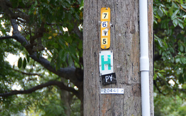 The Southern Sydney Eruv is now operational.