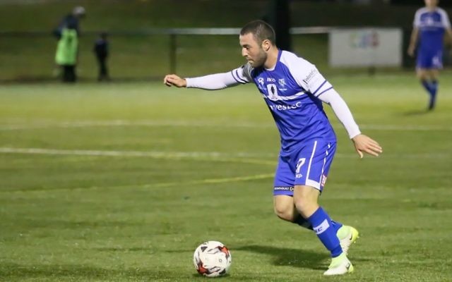 Gidi Sweet, pictured playing for Hakoah this season. Photo: Dan Ullman Gidi Sweet, pictured playing for Hakoah this season. Photo: Dan Ullman