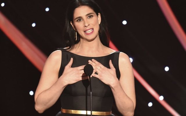 Sarah Silverman.
Photo: Vince Bucci/Invision/AP