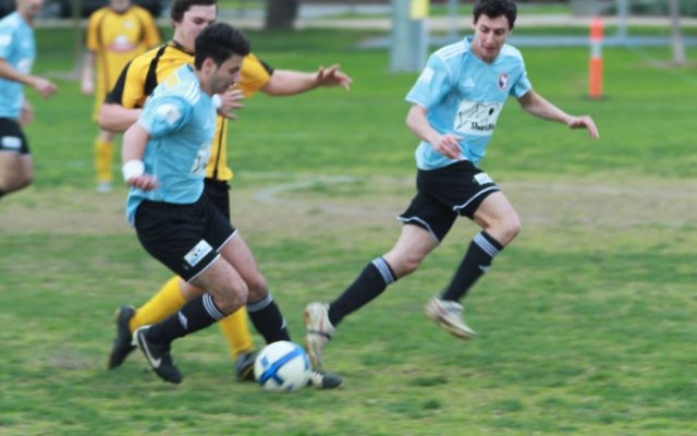 Ilya Davidov (left) and Josh Braver control the midfield. Photo: Chris Newton Ilya Davidov (left) and Josh Braver control the midfield. Photo: Chris Newton