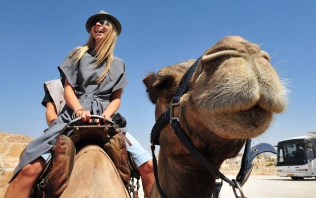 Camel Trips in Judea Desert .Photo by Rafael Ben-Ari/Chameleons Eye Camel Trips in Judea Desert .Photo by Rafael Ben-Ari/Chameleons Eye