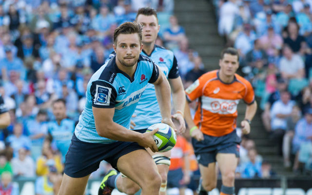 David Horwitz playing for the NSW Waratahs. Photo: Ben Holgate/Waratahs Rugby. David Horwitz playing for the NSW Waratahs. Photo: Ben Holgate/Waratahs Rugby.