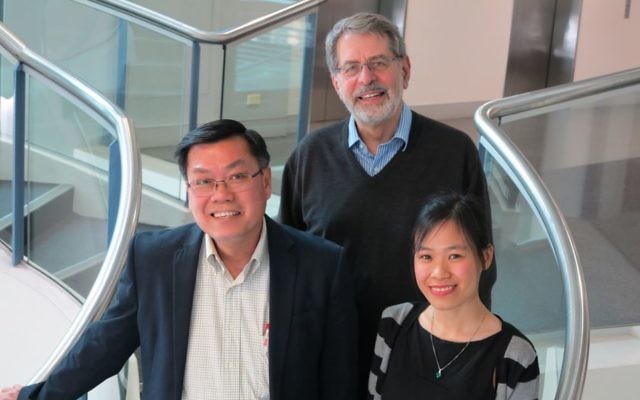 From left: Garvan's Professor Tuan Nguyen and Professor John Eisman, with University of Sydney researcher Thao Phuong Ho-Le. Photo: Garvan From left: Garvan's Professor Tuan Nguyen and Professor John Eisman, with University of Sydney researcher Thao Phuong Ho-Le. Photo: Garvan