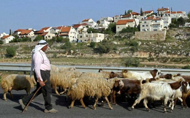 Cap: A Palestinian shepherd walks past the settlement of Efrat. Photo: Brian Hendler/JTA. Cap: A Palestinian shepherd walks past the settlement of Efrat. Photo: Brian Hendler/JTA.