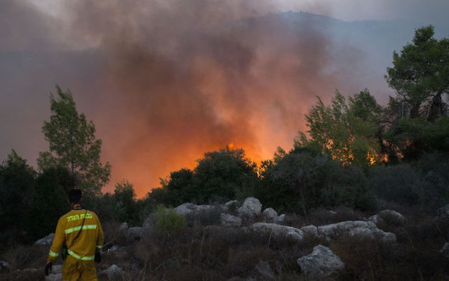 A firefigher at the scene of a bushfire which started on November 25 near Nataf, outside of Jerusalem. Photo: Yonatan Sindel/Flash90. A firefigher at the scene of a bushfire which started on November 25 near Nataf, outside of Jerusalem. Photo: Yonatan Sindel/Flash90.