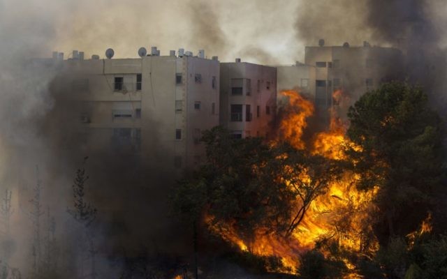 A fire burning in Haifa on November 24. Photo: AP/Ariel Schalit A fire burning in Haifa on November 24. Photo: AP/Ariel Schalit