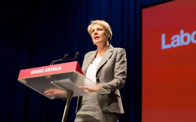 Federal Labor deputy leader Tanya Plibersek. Federal Labor deputy leader Tanya Plibersek.