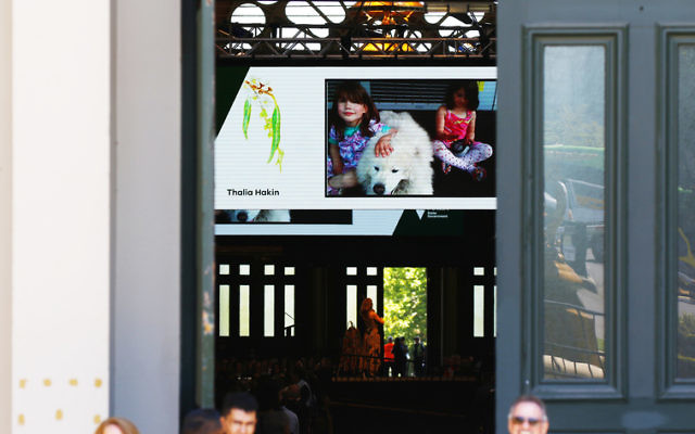 The image of Thalia on screen at the Royal Exhibition building. Photo: Peter Haskin. The image of Thalia on screen at the Royal Exhibition building. Photo: Peter Haskin.