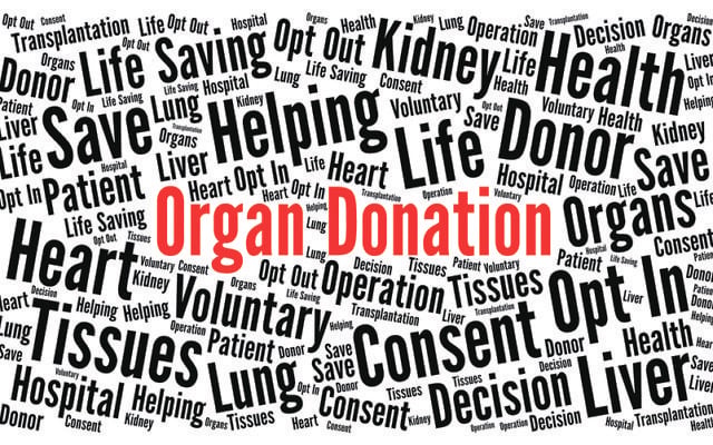 Image: Ricochet69/Dreamstime.com Image: Ricochet69/Dreamstime.com