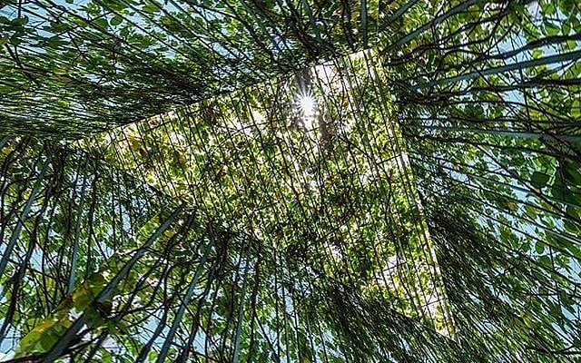 A periscopic view from the succah
designed by Scale Architecture. A periscopic view from the succah
designed by Scale Architecture.