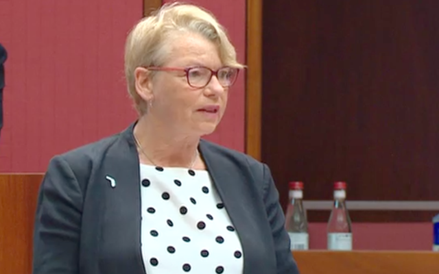 Senator Janet Rice speaking in the Senate last week. Photo: Screenshot Senator Janet Rice speaking in the Senate last week. Photo: Screenshot